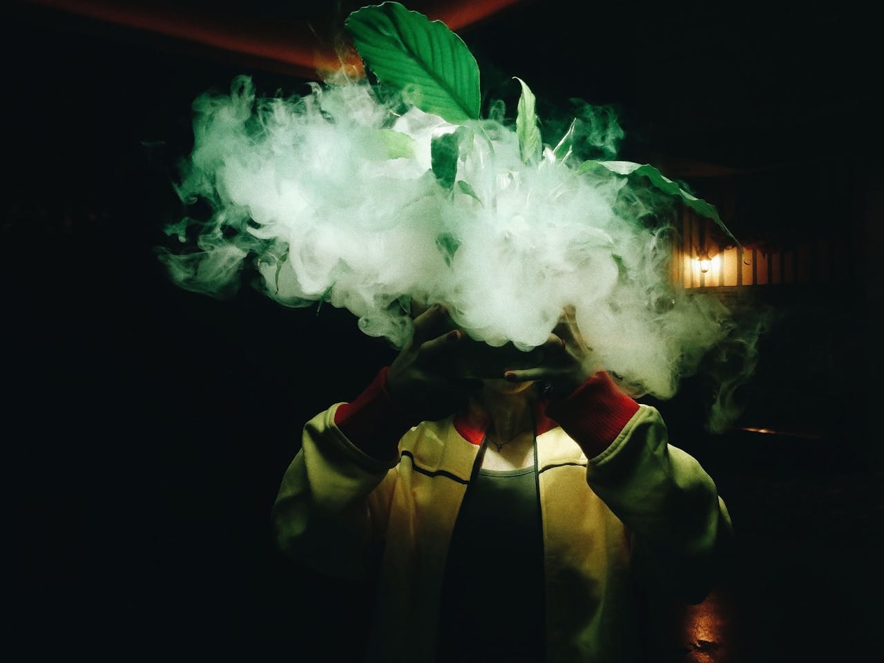why-choose-me Atmospheric photo of a person holding a plant with smoke against a dark background.